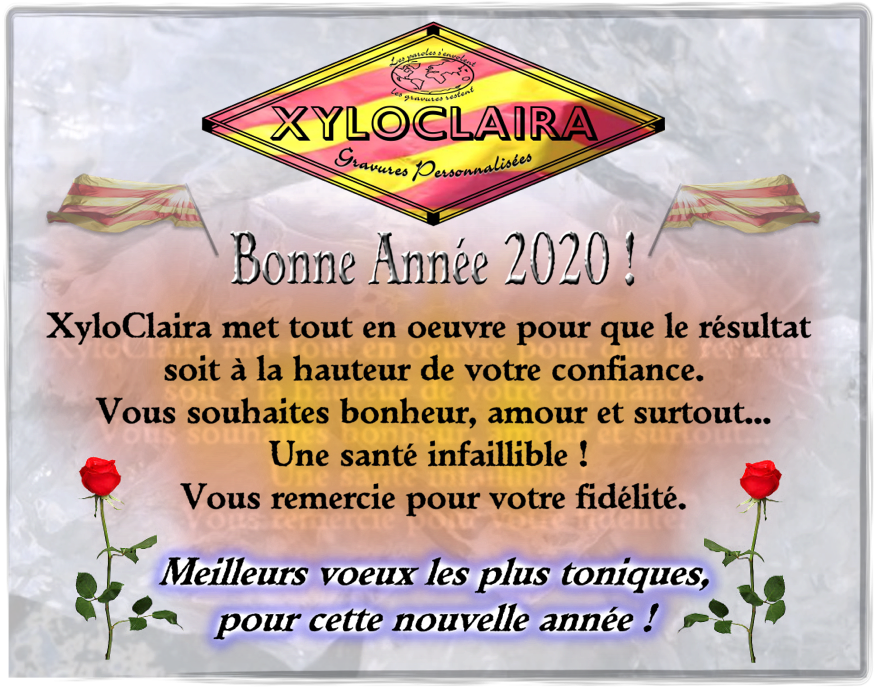 Bonne Année 2020 !
