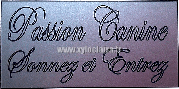 Réf : 17930 Gravoglas 2 plex brillant - 100x50mm - 2 lignes - Sonnez et entrez