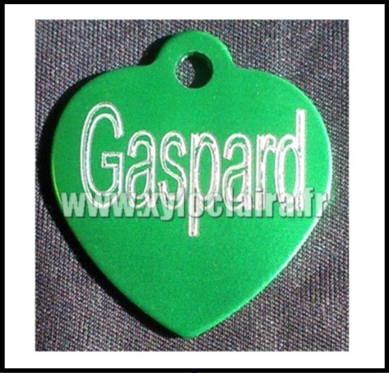 Médailles d'Animaux os alu vert gaspard