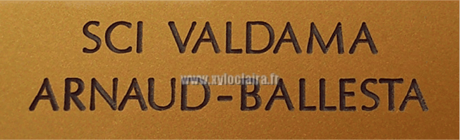 Réf : 17927 Gravoglas2 plex brillant - 2 lignes - SCI