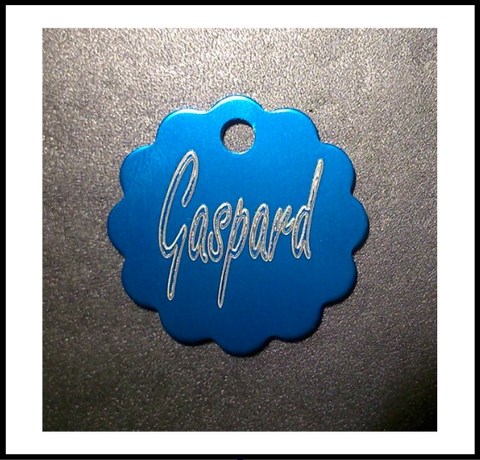 Médailles d'Animaux nuage bleu alu gaspard