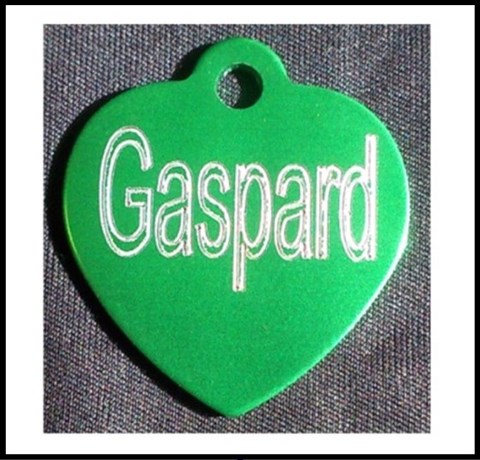 Médailles d'Animaux os alu vert gaspard