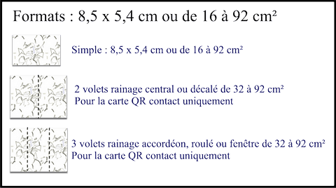 Formats carte E-card