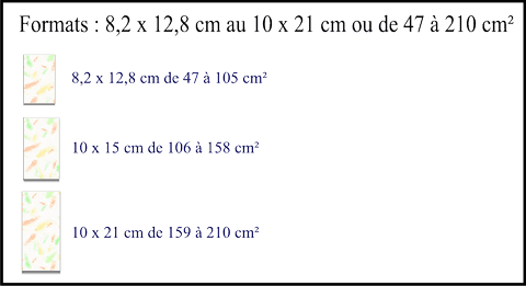 Formats carte synthétique